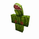 Melon team