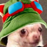 The Pogger Gang