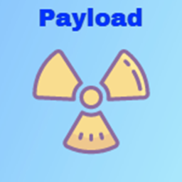 Payload
