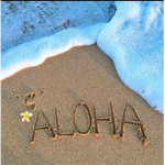 <•ALOHA•>
