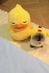Kitty~s:<
