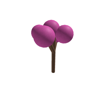 Cherry Blossom