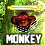Monkey Tone