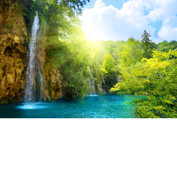 Realistic Calming  Area
