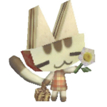 Flower’s Clothes.