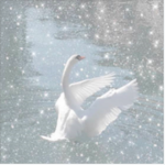 Angelic Aurora Group Thumbnail