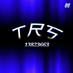 TRS树
