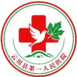 [YCRP]辽川省-云川县第一人民医院 icon