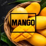[RAID] Mango