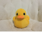 The Great Duck