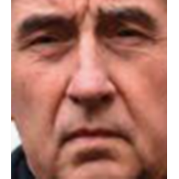 Babiš horror survival