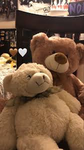 Sanrio cafe group