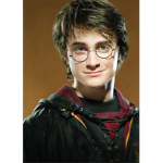 Haryy potter fans!