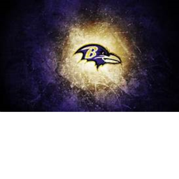 Ravens staduim