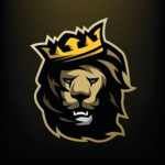 Offical Team Lion