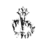 VULT GALLERY