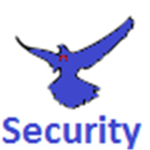 Bald Eagle ® Security