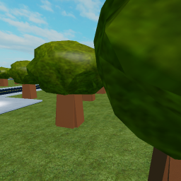 [ NEW ] Forest Adventure