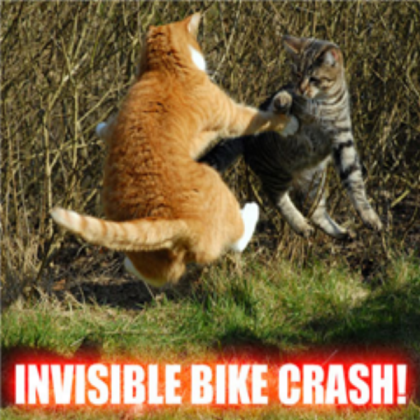 funny cats crash Roblox decal