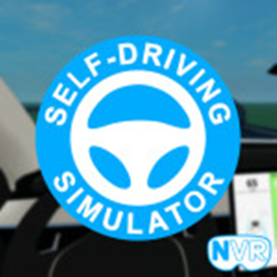 Self Driving Hangout