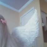 dusty angels