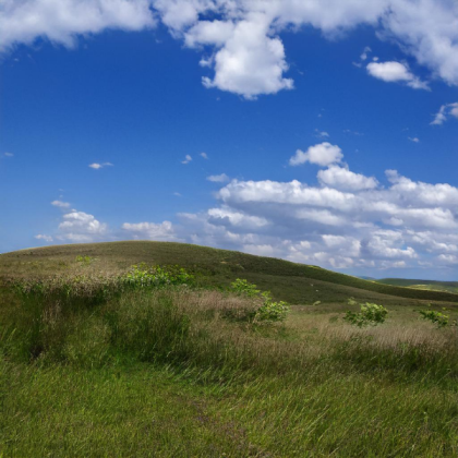 rtx windows xp background Roblox decal