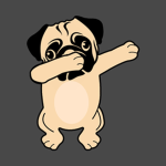 hi pug