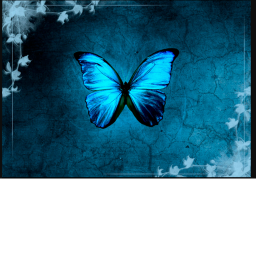 butterflyville RP