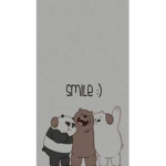 C00L BEARS