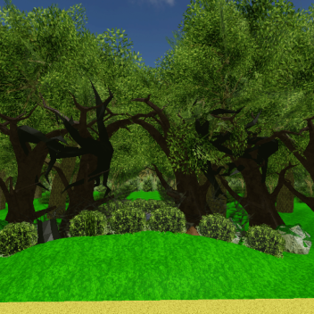 A PICNIC IN THE WOODS