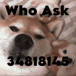 Who Ask ; Group