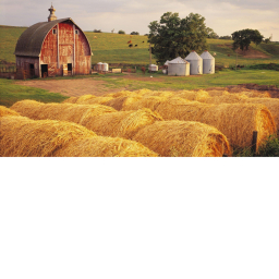 granja magnifica