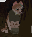 Warr1or C@ts 4 life
