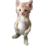 3435