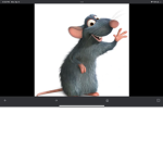 The original rat family