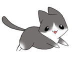 Cat scwad