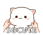 Meeooooooow!!!