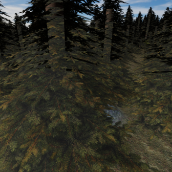 Stare at the Sun with Your Dog (WIP)