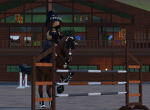 Rosewood Acres Riding Academy