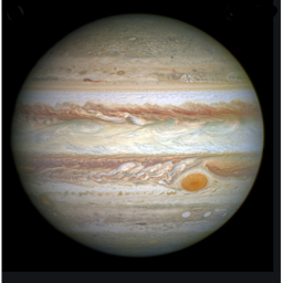 Jupiter Where You Go To Get More Stupider