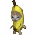 Gato banana