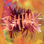 Chime