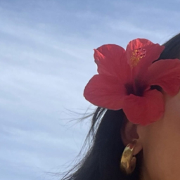 ⋆ ༅˚🌺.࿓•