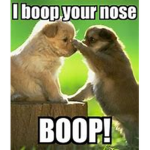 Boop Nubs