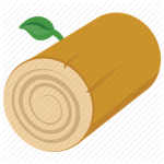 Log Groups