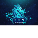 X0S Strucid Esports