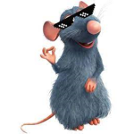 Ratatouille Boys
