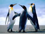CHARITY_GROUP