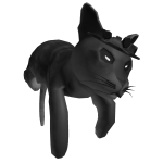 Void Star Cat