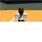 Ninja fighters!!!
